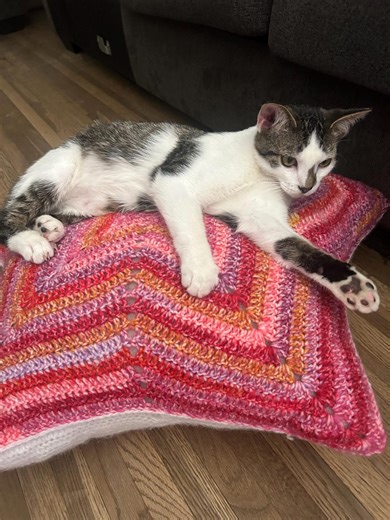 Beautifully Crocheted Pink Varigated Star Bed for Pets. - Etsy