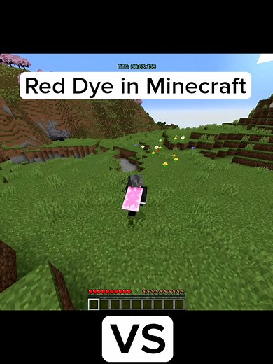 Red Dye Comparison: Minecraft vs Vintage Story