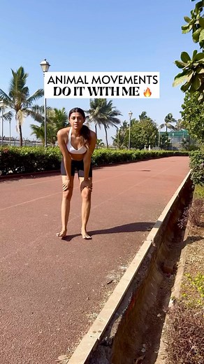 66K views · 64 reactions | Unleash your inner beast with these animal...