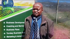 34 reactions | PIGGERY SHORT SHORT COURSE Need to emerge in Farming...