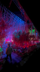 #imaginarium #ontariocalifornia #usareels #usa #everyone #followers@highlight@followers | Merly Fragata Padgett