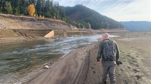 Trout fishing during deep drawdown at Lookout Point Reservoir