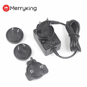 [Hot Item] Merryking Portable Charger Output 5V 2A Wall Stocked Plug Type C Micro USB Charger for Mobile Phone 5volt