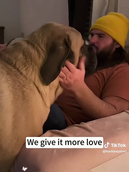 Creating a Loving Dog Portrait with Passion