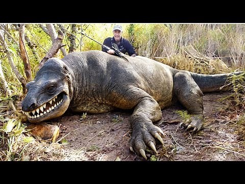 30 Extinct Animals That Got Caught On Camera & Shocked the Whole World