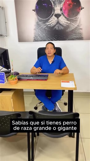 Perros de raza grande: fuertes, nobles y llenos de amor 🐾 Los perros de raza grande destacan por su lealtad, energía y espíritu protector. Sin embargo, también necesitan cuidados especiales para mantenerse sanos y felices: 🔹 Ejercicio diario para mantener su peso y articulaciones. 🔹 Alimentación balanceada adaptada a su tamaño. 🔹 Revisiones veterinarias frecuentes para prevenir displasia y problemas cardíacos. 🔹 Mucho espacio… ¡y muchísimo amor! 💙🐶 👉 Agenda la consulta de tu gigante pelu