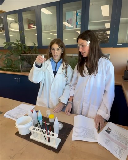 Mount Scopus Memorial College on Reels | Facebook