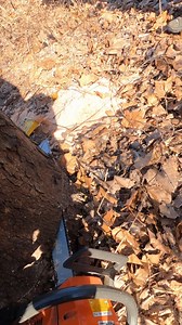 scene from "Down by the river - episode 5 of season 17" | Boys In The Woods