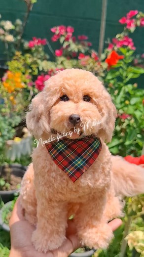 Some of my creations #needlefeltingbymithu #petportraitcommission #FurryFriends #needlefelting #catsanddogs #crafting #woolcraft #handmade #handmadeart #needlefelt | Needlefelting Bymithu