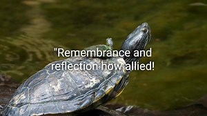 Top 20 Alexander Pope Quotes. @DailyQuotesHD. #AlexanderPope #Poetry #Literature #TheRapeOfTheLock #EnglishPoet #18thCentury #Satire #Wit #ClassicLiterature #BritishPoet #Neoclassicism #Enlightenment #Verse #Popean #PoetLife #LiteraryGenius #PoeticWisdom #Rococo #CulturalHeritage #PoetryCommunity #AlexanderPopeQuotes. | Positive Quotes | Facebook