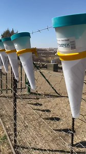 5.5K views · 180 reactions | #rain #groot #durable #rainmeter #reënmeter #trekker #feeder #trog #trogtek #spring #rainyday #fanks #welcometothebush #farm Trogtek Suid-Afrika | Crazy Werrie | Facebook