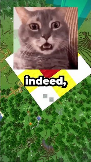 How Would You Use the Notebook? 📔😼