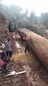 518K views · 1.3K reactions | Chengal tree | Machinery Technology | Facebook