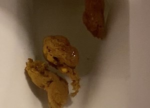 Urgent Second Shit with Corn