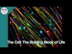 The Cell: The Building Block of Life