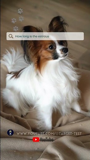 Duration of the estrous cycle in dogs / #short