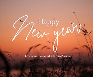 NatureServe assembles robust data on the location and ecological condition of species and ecosystems collected by biodiversity experts from the NatureServe Network and other partners. Our scientists turn those data into maps, models, and metrics that document and predict distributions, evaluate threats, assess extinction risks, document trends, and identify priority conservation areas. Using cloud technology, integrated applications, and compelling visualizations, we deliver the best available d