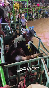 TINGAMBATO MICH…. Que BUEN JARIPEO, que bonitas TRADICIONES 🐂🤠 Rancho El Centenario | Instinto Jaripeyero