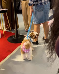 The Wedding Library on Reels