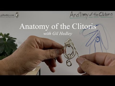 Anatomy of the Clitoris: Learn Integral Anatomy with Gil Hedley