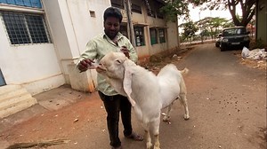 16K views · 209 reactions | ಫ್ರೆಂಡ್ ಅಂದ್ರೆ ಹೀಗಿರಬೇಕು ನೋಡಿ | Goat...