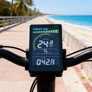 [Hot Item] Electric Bike Speedometer for Daily Use with Mileage Computer