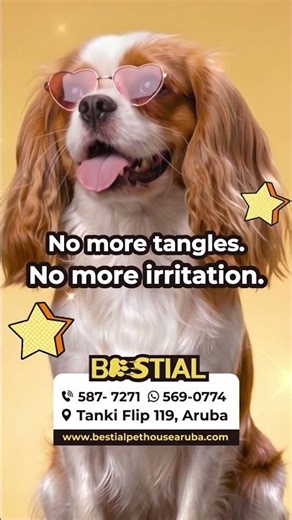 Spotted: A celebrity leaving the Bestial Grooming Spa. 🕶️💅