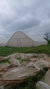 THERE IS NO WAY YOU WILL BE AT PRACTICAL TRAINING ON OUR FARM AND YOUR FARM REMAIN THE SAME WHERE YOU LEASE GOVERNMENT FARM LAND ANNUALLY *Pivot irrigation that covers 48 hectares of land * Sprinkler irrigation *Massive Dams * FOR FARM MANAGER JOB - We link you up with a farm - Salary are very competitive - Accomodation is available on the job * FARM PRODUCE STORAGE - Process of farm storage buying and selling - Remember the training center is production area FARM PRODUCE FOR STORAGE INCLUDE - C