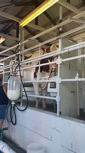 Are we missing fair yet?? | The Great Geauga County Fair