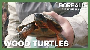 Many people have heard of the historic Loring Air Force Base in...