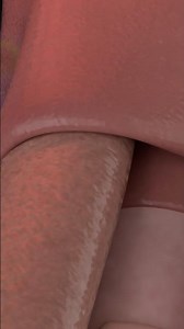 Inside the Human Body | Organs, Vessels, Nerves & Anatomy in 3D 🫀