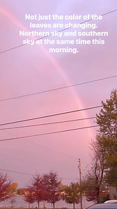 Hidden Beach Bar on Reels