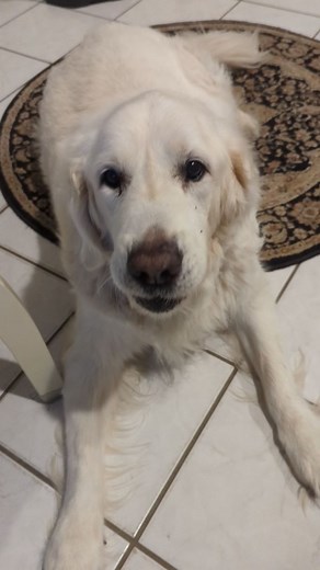 38 reactions |  Grateful Beyond Words  Thank you all for your...