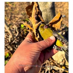 2.2M views · 10K reactions | New Memes unlock 嵐 | Watch Memes Without Depression | Facebook