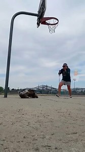 Funniest animals and pets #viral #animals #funny | Really