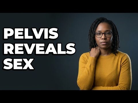 How Does Pelvic Anatomy Reveal Biological Sex?
