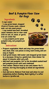29K views · 164 reactions | Warm Winter Stew for Dogs (Simple Ingredients #doglover | Homemade Dog Food Recipes | Facebook