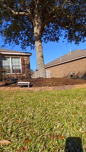 12K views · 125 reactions | Getting the Lawn Ready for Spring with @nelsonplantfoodofficial Weed-inator | Texas Garden Guy | Facebook