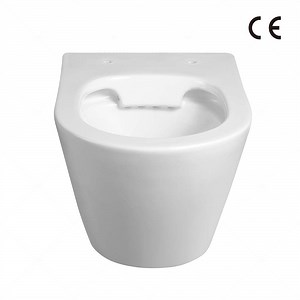 [Hot Item] Luxury Rimless Side Square Handle Wall Hung Concealed Toilet