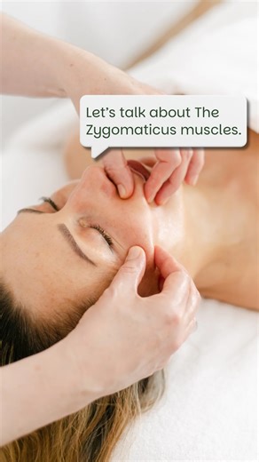 The zygomaticus muscles — major and minor — are far more influential than most realise. They don’t just lift the corners of your mouth; they define the entire mid-face structure and play a key role in facial expression and contour. - Anatomy in motion — These paired muscles extend from the cheekbone to the mouth corners, working every time we smile, laugh, or speak. Over time, repetitive movement and tension can shorten the fibres and compress surrounding fascia. - What happens when tension buil