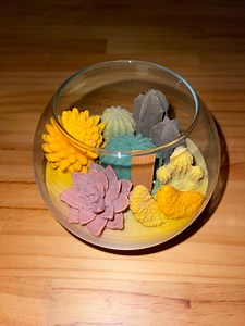 Cactus & Succulent Candle Globe – Botanical Home Decor Gift - Etsy Canada