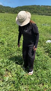 Hindi inapansin itong maliit na pakwan #fyp | Anne Marie Mae Manal