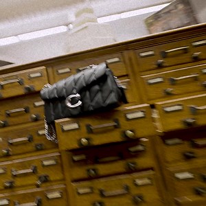 23K views · 847 reactions | Quilted? Or kissed, too? Stop by coach.com tonight after the #CoachSpring24 show and shop a special selection of Tabbys and more pieces fresh from the runway. We doubt they’ll stay on shelves for long  #NYFW #CoachNY | Coach | Facebook