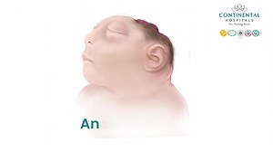 헨헻헱헲헿혀혁헮헻헱헶헻헴 헕헶헿혁헵 헗헲헳헲헰혁혀 현헶혁헵 헗헿. 헔헻혂혀헵헮 헥헲헱헱혆 헕  혉혪혳혵혩 혥혦혧혦혤혵혴...