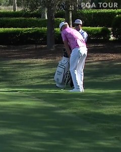 18 reactions · 7 comments | Brian Gay on Reels | Facebook