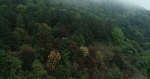 Nationalpark Dilijan. Armenien, Drohnenvideo: Stockvideos & Filmmaterial (100 % lizenzfrei) 1108139477 | Shutterstock