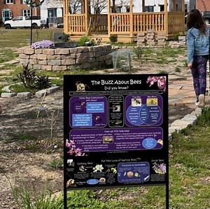 Buzz About Bees Sign 18x24 - Etsy