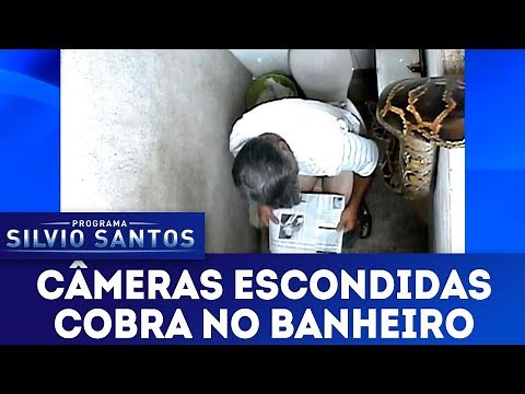Cobra no Banheiro | Câmeras Escondidas (11/11/18)