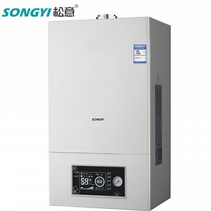 [Hot Item] Multi Capacity Gas Water Heater Wall Mounted Flue Gas Boiler Geyser with Digital Display and Overheat Protection