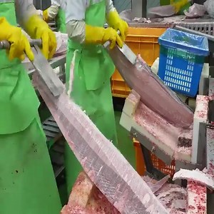 Tuna factory - Korean food factory | SABAI